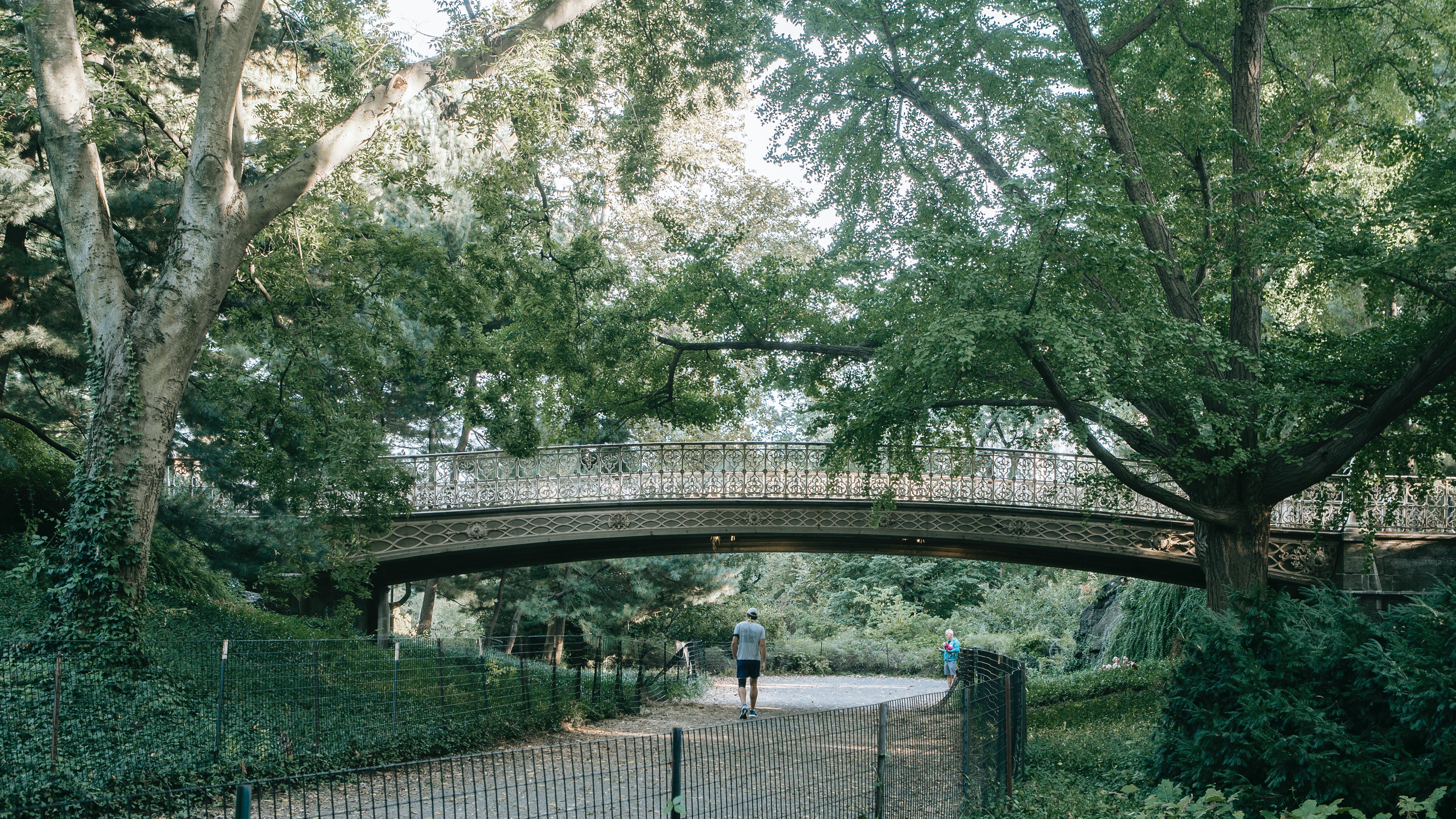 urban forest