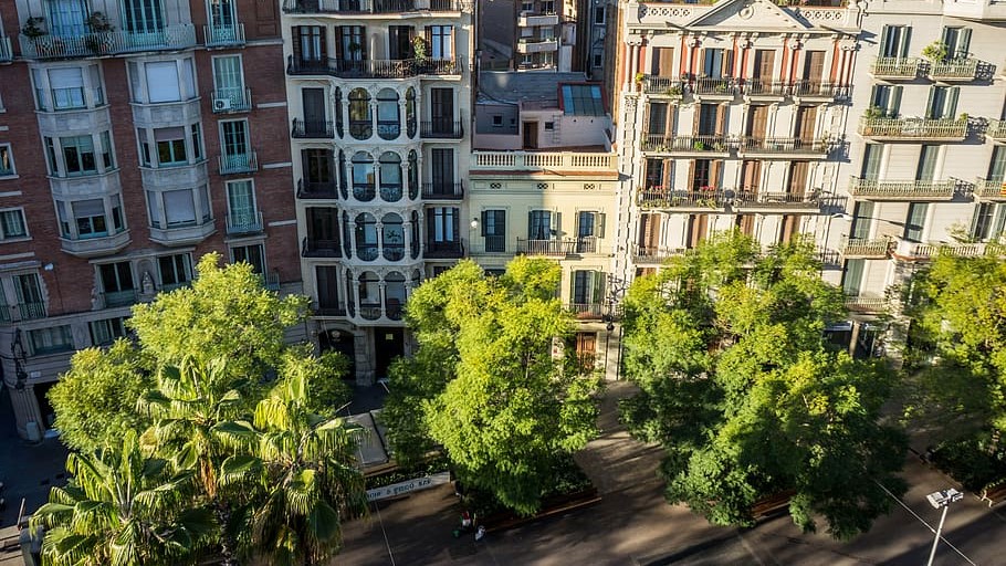 Barcelona urban forest event